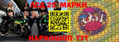 шишки Нарткала