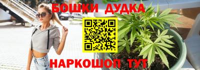 шишки Нарткала