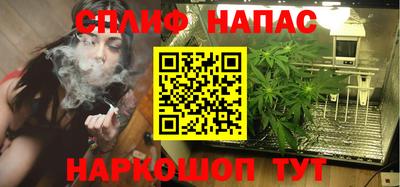 шишки Нарткала