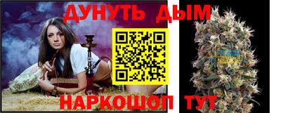 шишки Нарткала