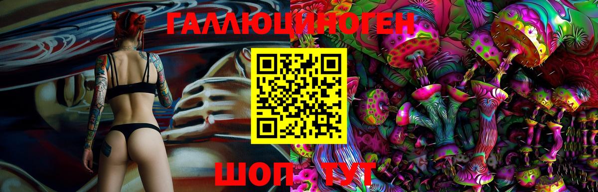 Псилоцибиновые грибы Psilocybine cubensis Спасск-Дальний