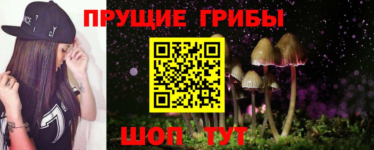 Галлюциногенные грибы мицелий  Псилоцибиновые грибы мицелий  Спасск-Дальний  Вход с VPN 